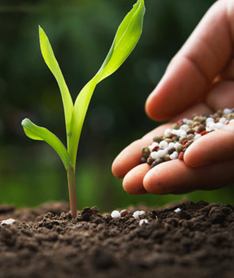 Chemical & Fertilizer