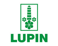 Lupin